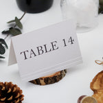 Load image into Gallery viewer, Elegant Printable Wedding Table Numbers - Modern Wedding Table Number Designs - Printable Rustic Wedding Table Numbers - TABNUM-004
