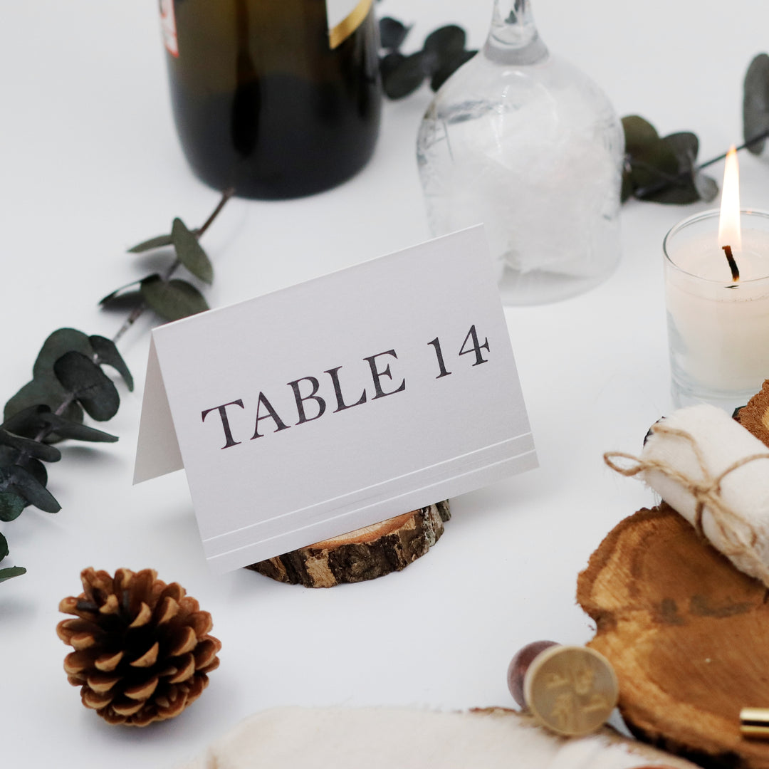 Elegant Printable Wedding Table Numbers - Modern Wedding Table Number Designs - Printable Rustic Wedding Table Numbers - TABNUM-004