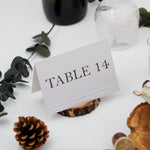 Load image into Gallery viewer, Elegant Printable Wedding Table Numbers - Modern Wedding Table Number Designs - Printable Rustic Wedding Table Numbers - TABNUM-004
